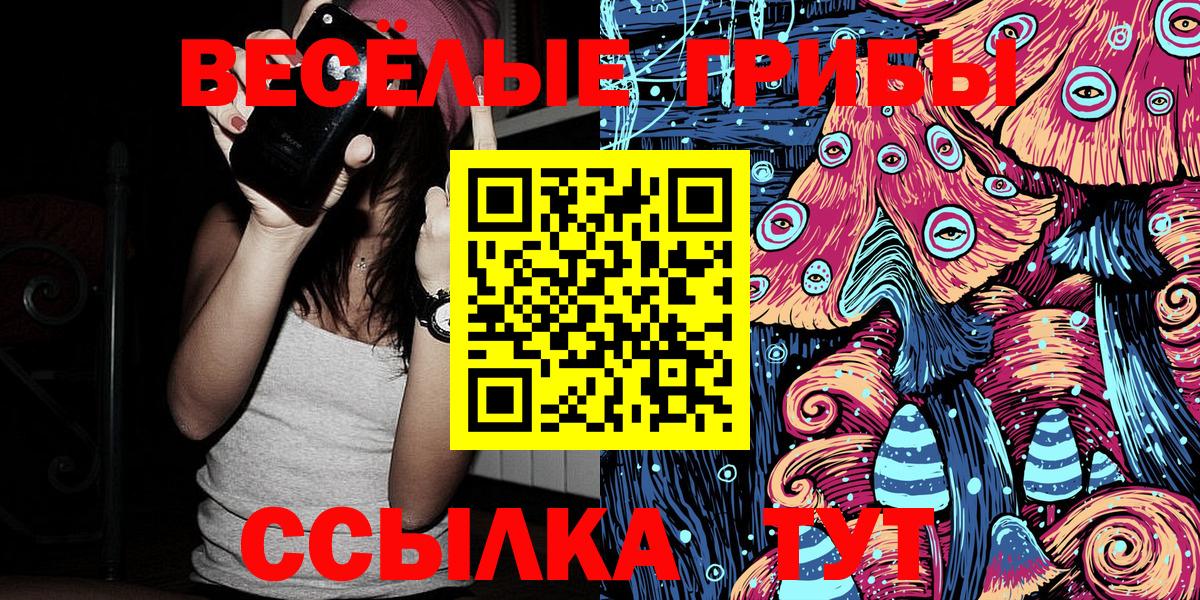 Гусь-Хрустальный  Галлюциногенные грибы Psilocybine cubensis  хочу наркоту  Вход с VPN 